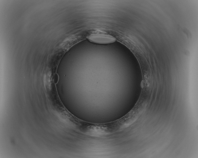 X0000113120223200909181655