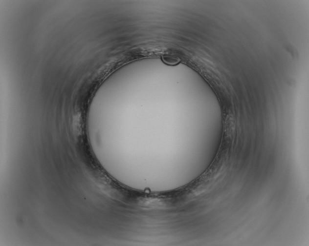 X0000113120224200909181655