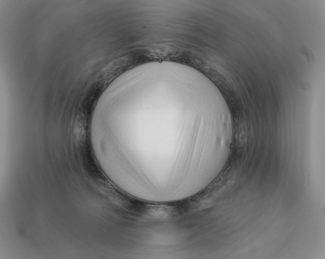 X0000113120226200909181655