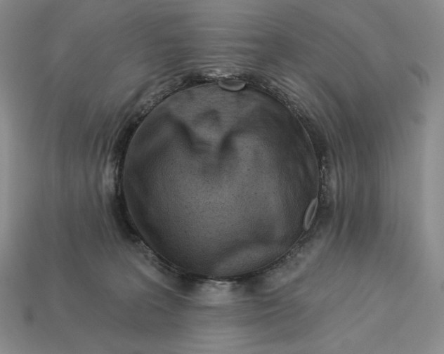 X0000113120227200909181655