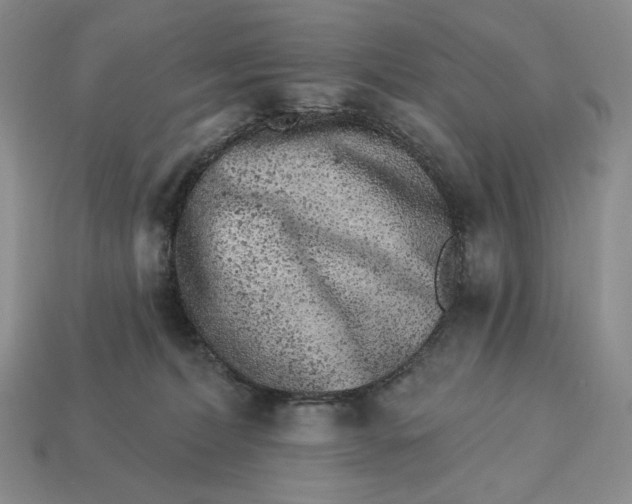 X0000113120228200909181655