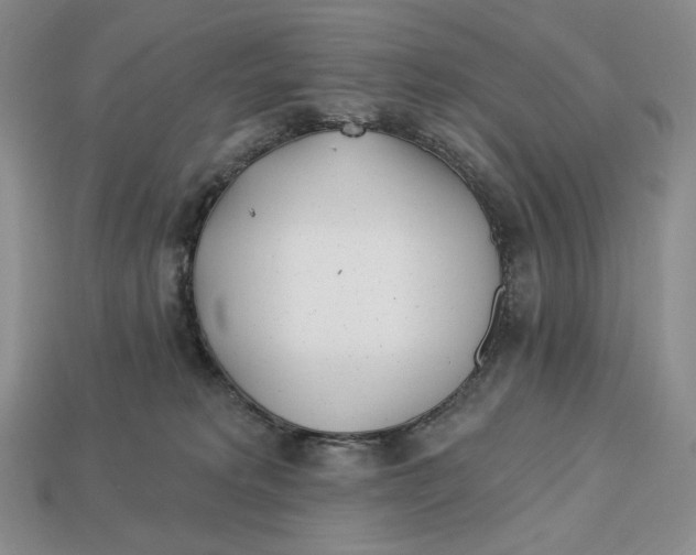 X0000113120229200909181655