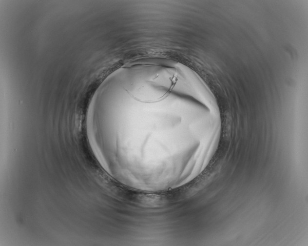 X0000113120230200909181655