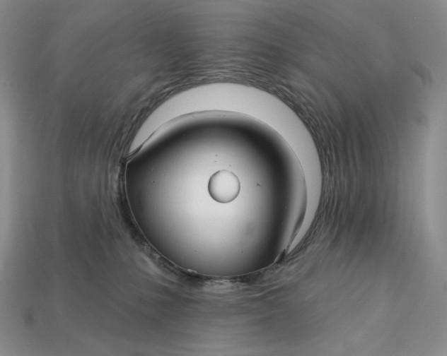 X0000113120231200909181655