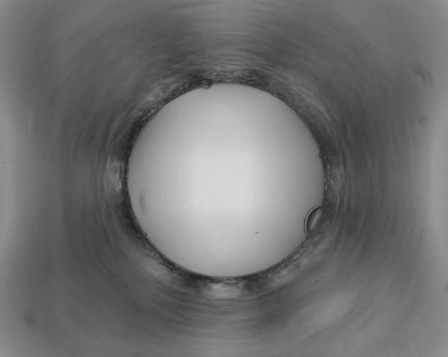 X0000113120232200909181655