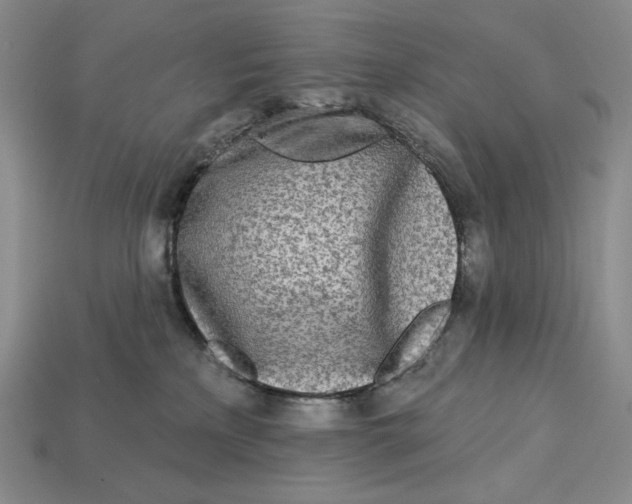 X0000113120233200909181655