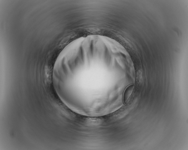 X0000113120234200909181655