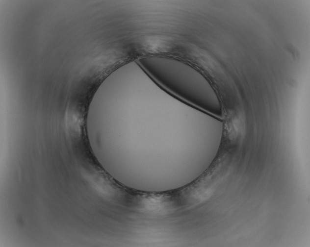 X0000113120235200909181655