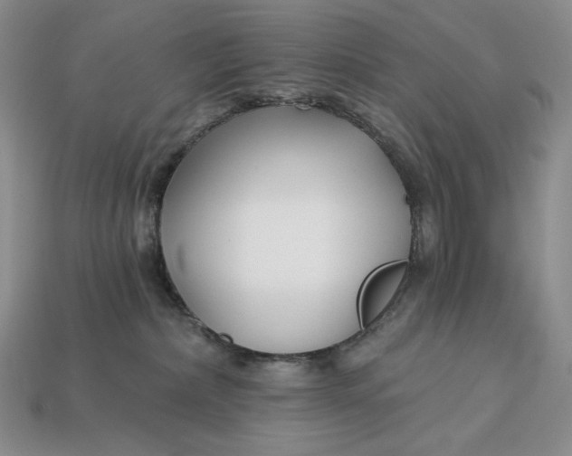 X0000113120236200909181655