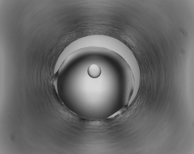 X0000113120237200909181655