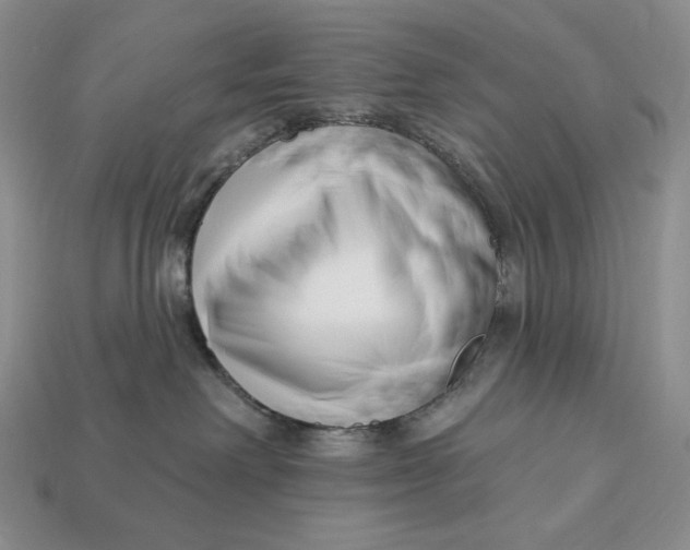 X0000113120238200909181655