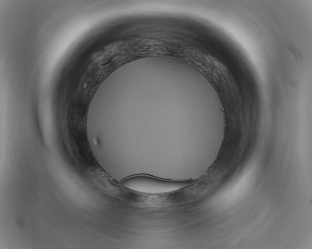 X0000113120239200909181655