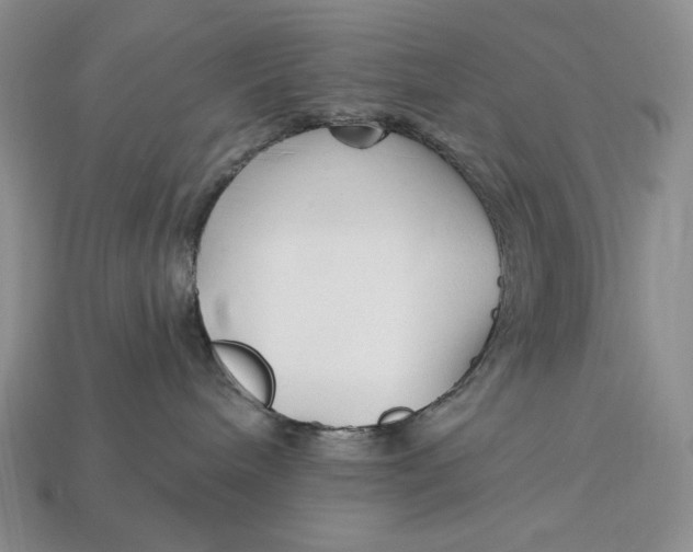 X0000113120240200909181655