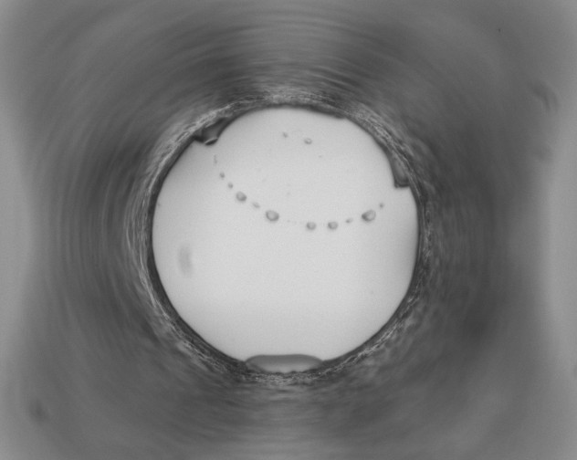 X0000113120241200909181654