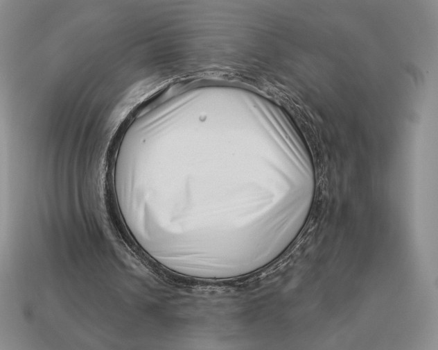 X0000113120242200909181654