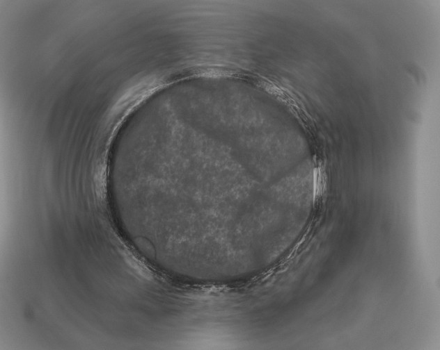 X0000113120243200909181654