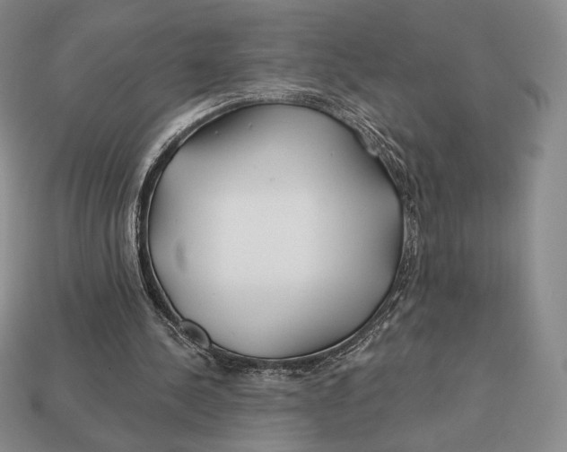 X0000113120244200909181654