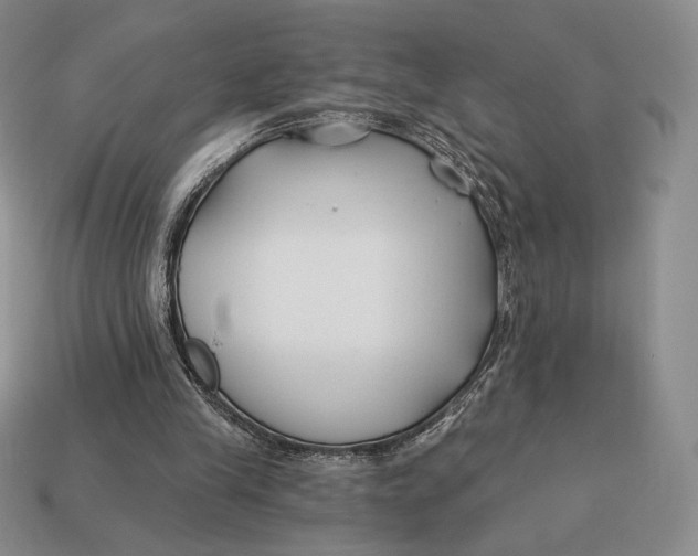 X0000113120245200909181654