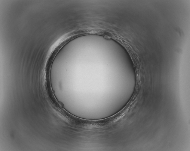 X0000113120246200909181654