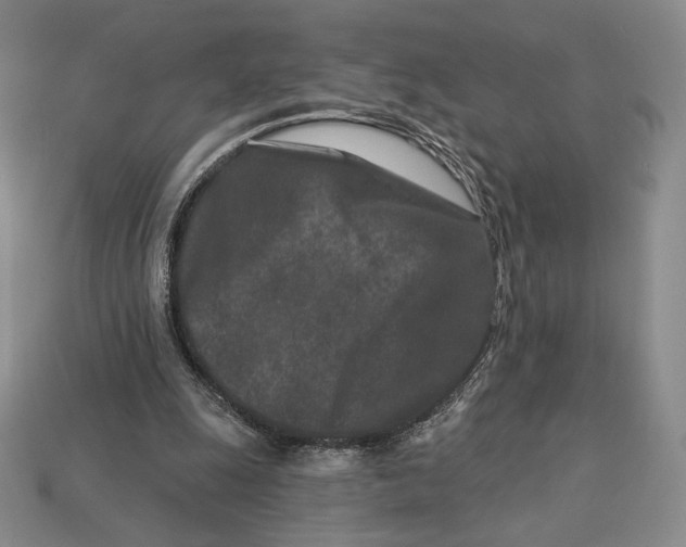 X0000113120247200909181654