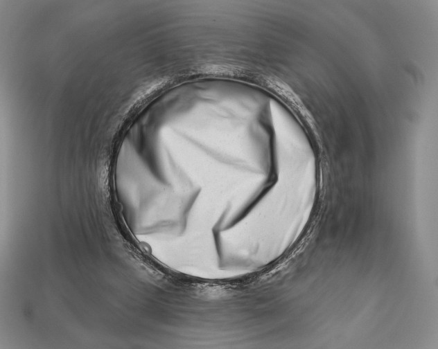 X0000113120249200909181654