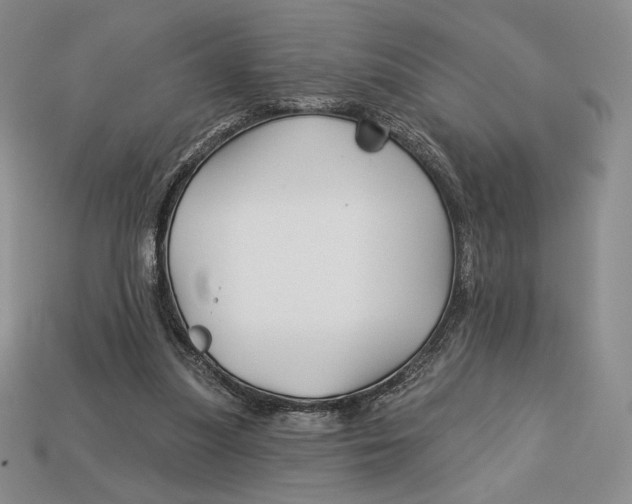 X0000113120251200909181654