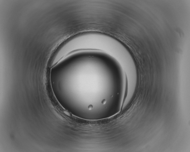 X0000113120252200909181654