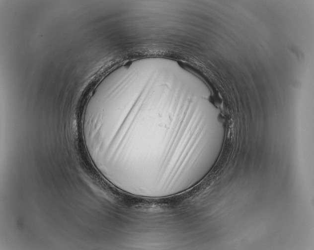 X0000113120254200909181654