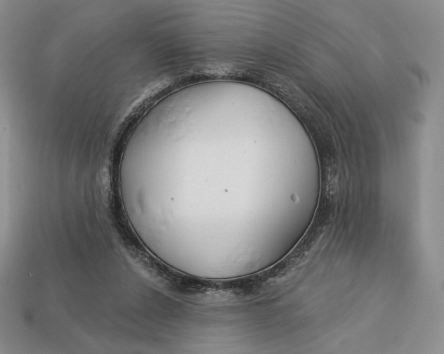 X0000113120256200909181654