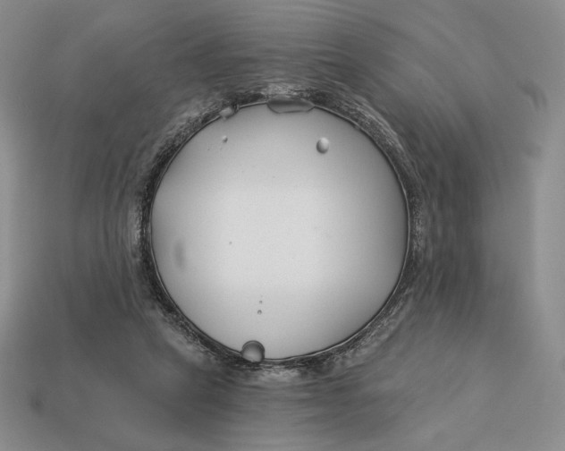 X0000113120257200909181654