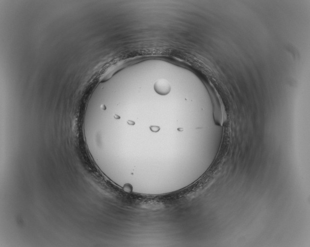 X0000113120258200909181654