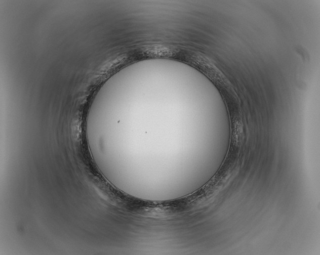 X0000113120259200909181654