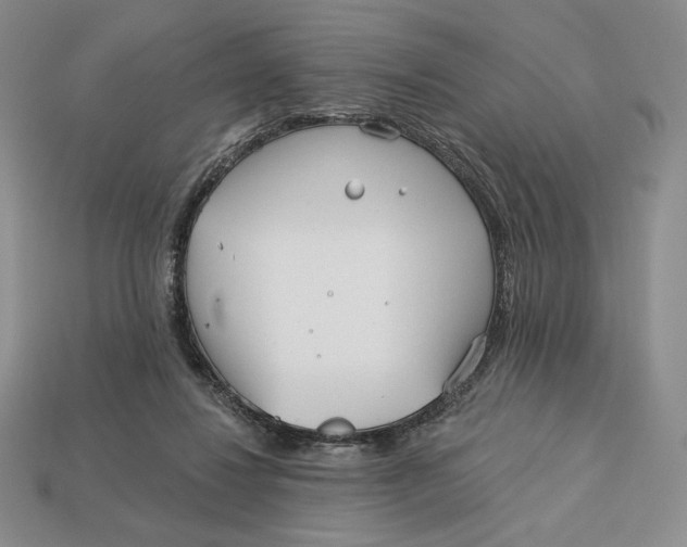 X0000113120260200909181654