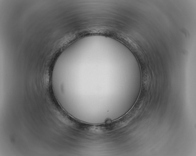 X0000113120261200909181654