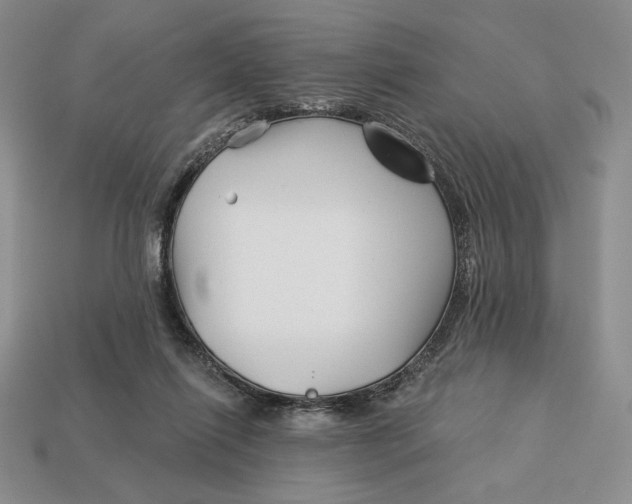 X0000113120262200909181654