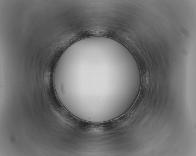 X0000113120263200909181654