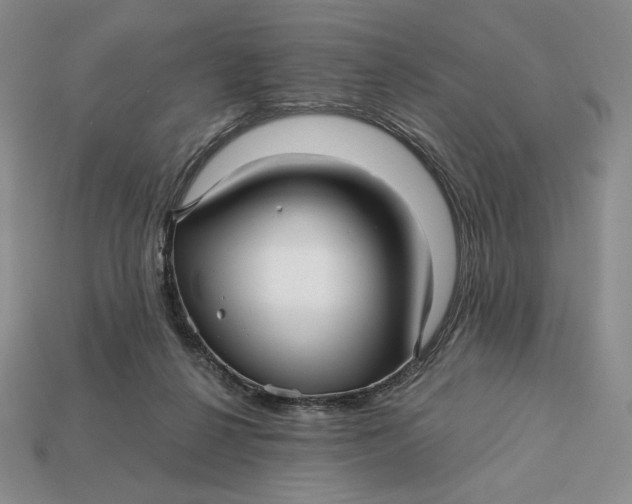 X0000113120264200909181654