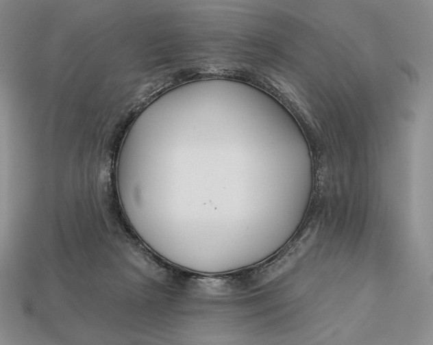 X0000113120265200909181654