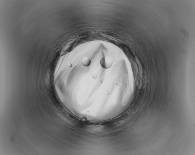 X0000113120266200909181654