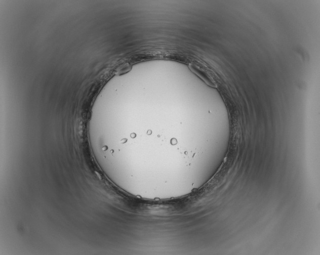 X0000113120268200909181654