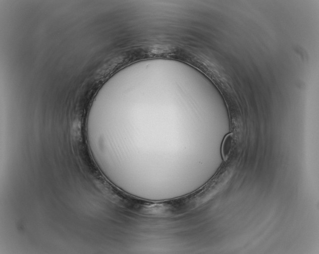 X0000113120269200909181654