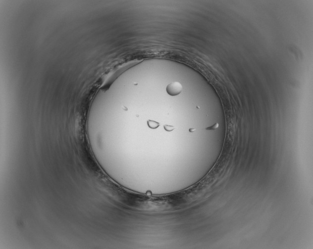 X0000113120270200909181654