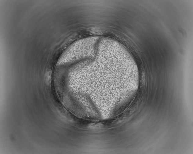 X0000113120271200909181654