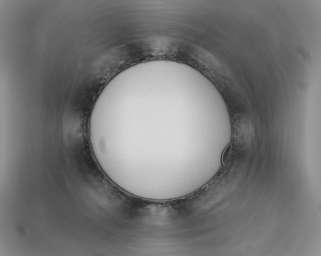 X0000113120272200909181654