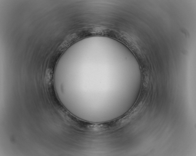 X0000113120273200909181654