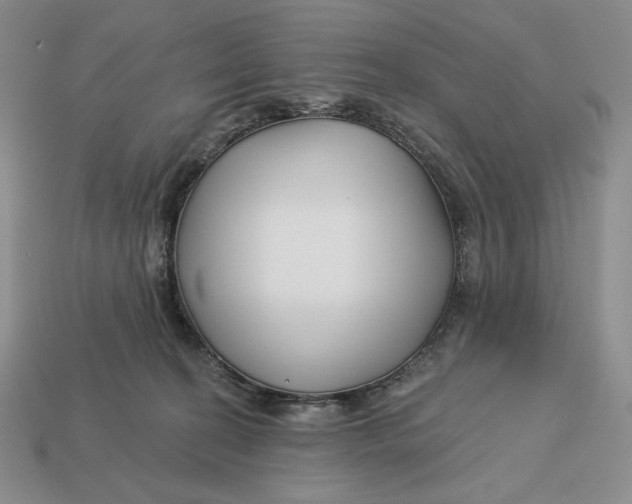 X0000113120274200909181654