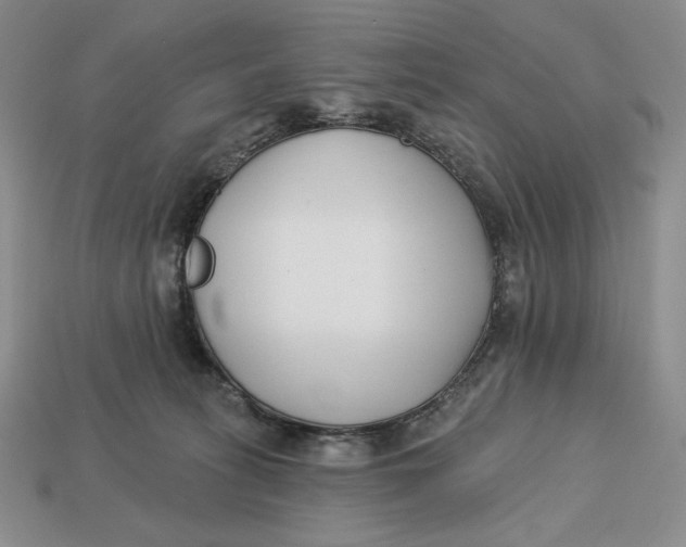 X0000113120275200909181654