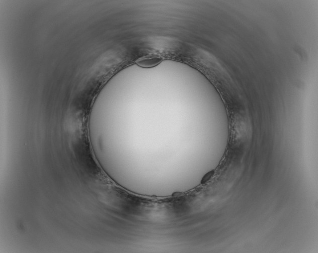 X0000113120276200909181655