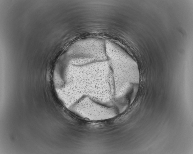 X0000113120277200909181655