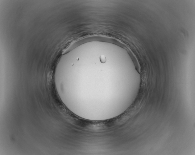 X0000113120278200909181655